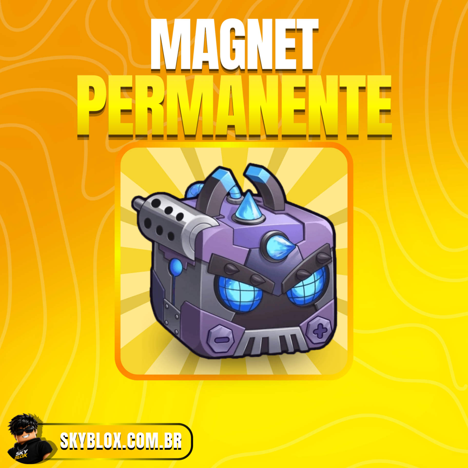 Magnet Permanente